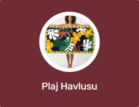 Plaj Havlusu