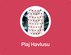 Plaj Havlusu