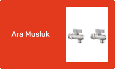 Ara Musluk