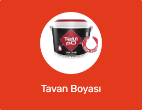 Tavan Boyası