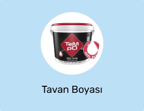 Tavan Boyası