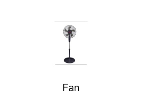 Fan