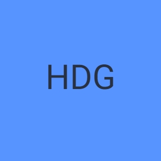 HDG logo