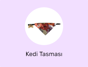 Kedi Tasması