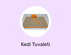 Kedi Tuvaleti