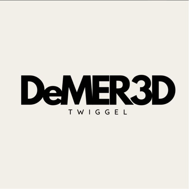 DeMER3D
