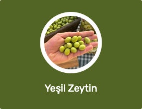 Yeşil Zeytin