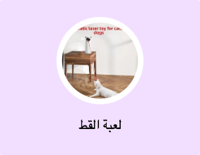 لعبة القط