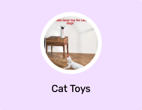 Cat Toys