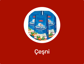 Çeşni
