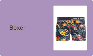 Boxer