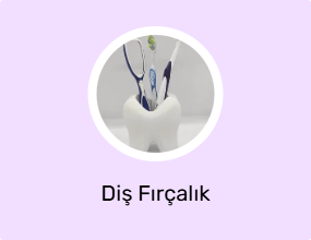 Diş Fırçalık