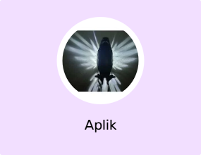 Aplik