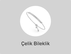 Çelik Bileklik