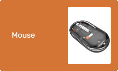 Mouse