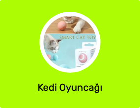Kedi Oyuncağı