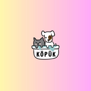 Köpük Pet Shop