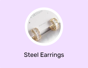Steel Earrings