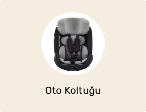 Oto Koltuğu