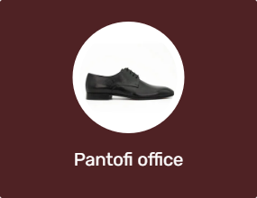 Pantofi office