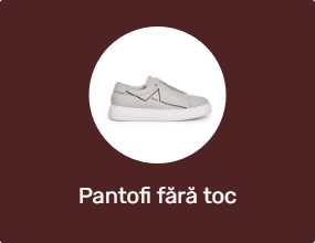 Pantofi fără toc