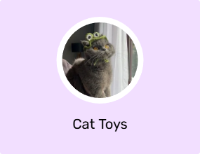Cat Toys