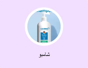 شامبو