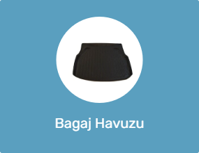 Bagaj Havuzu