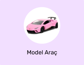 Model Araç