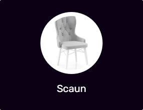 Scaun
