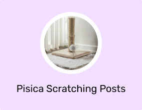 Pisica Scratching Posts