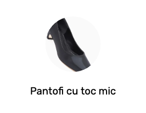 Pantofi cu toc mic