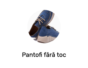 Pantofi fără toc