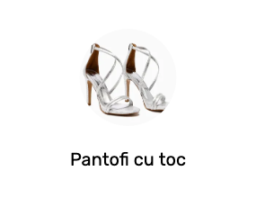 Pantofi cu toc