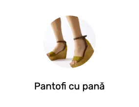 Pantofi cu pană