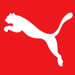NDRSPORTS logo