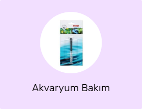 Akvaryum Bakım Malzemesi
