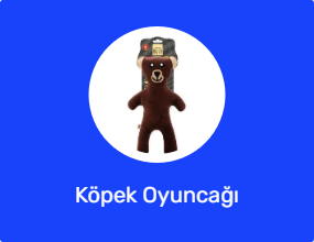 Köpek Oyuncağı