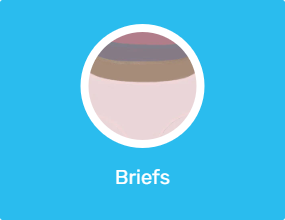 Briefs