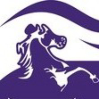 TAŞARAVM logo