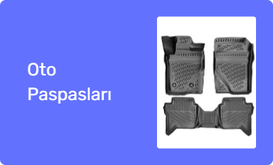 Oto Paspasları