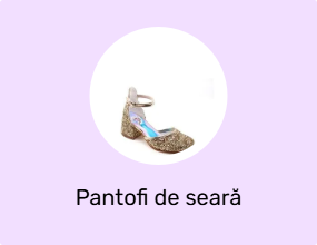 Pantofi de seară