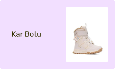 Kar Botu