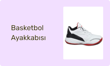 Basketbol Ayakkabısı