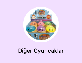Diğer Oyuncaklar