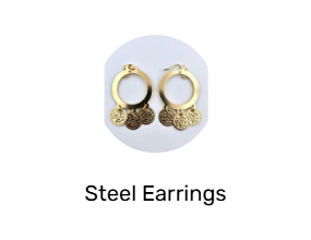 Steel Earrings