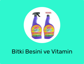 Bitki Besini ve Vitamin
