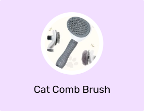 Cat Comb Brush