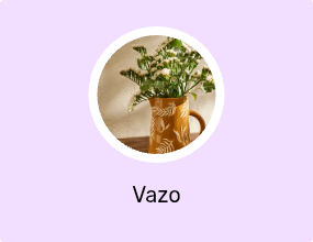 Vazo