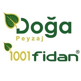 1001fidan